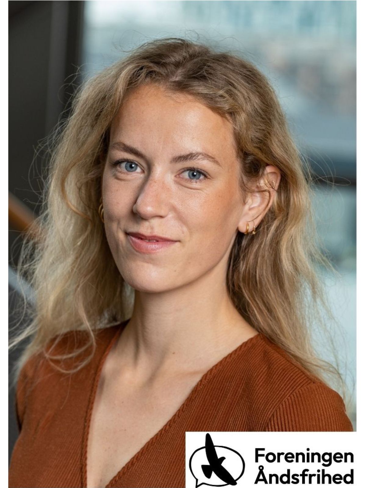 Når politikere vil være ‘folkets vilje’